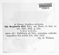Sphaerulina gei image